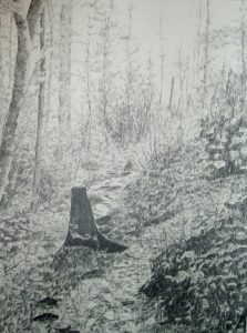 "A Path Through the Woods", pencil drawing