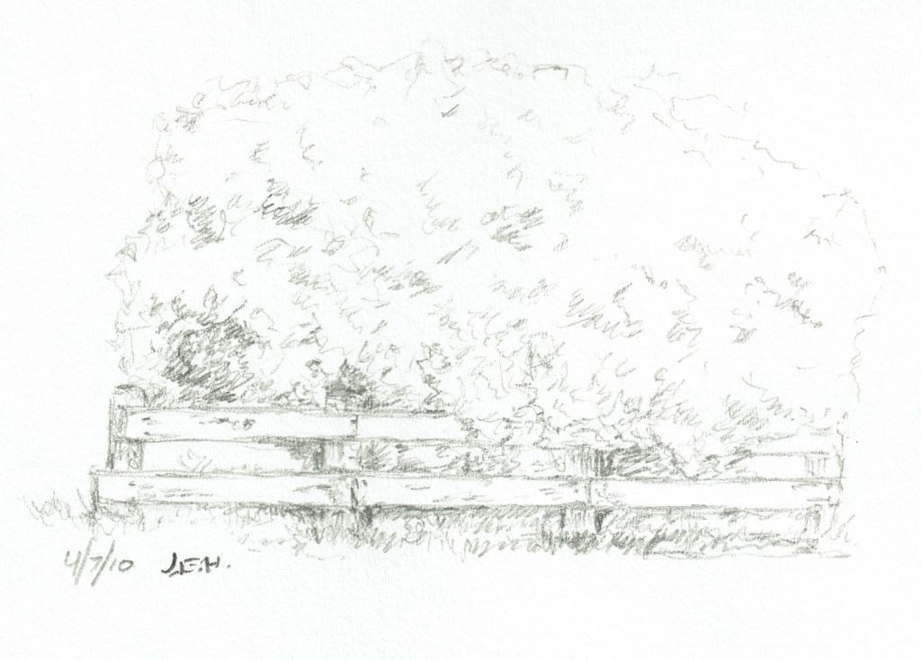 Fence, bushes, on site sketchbook sketch by John Huisman