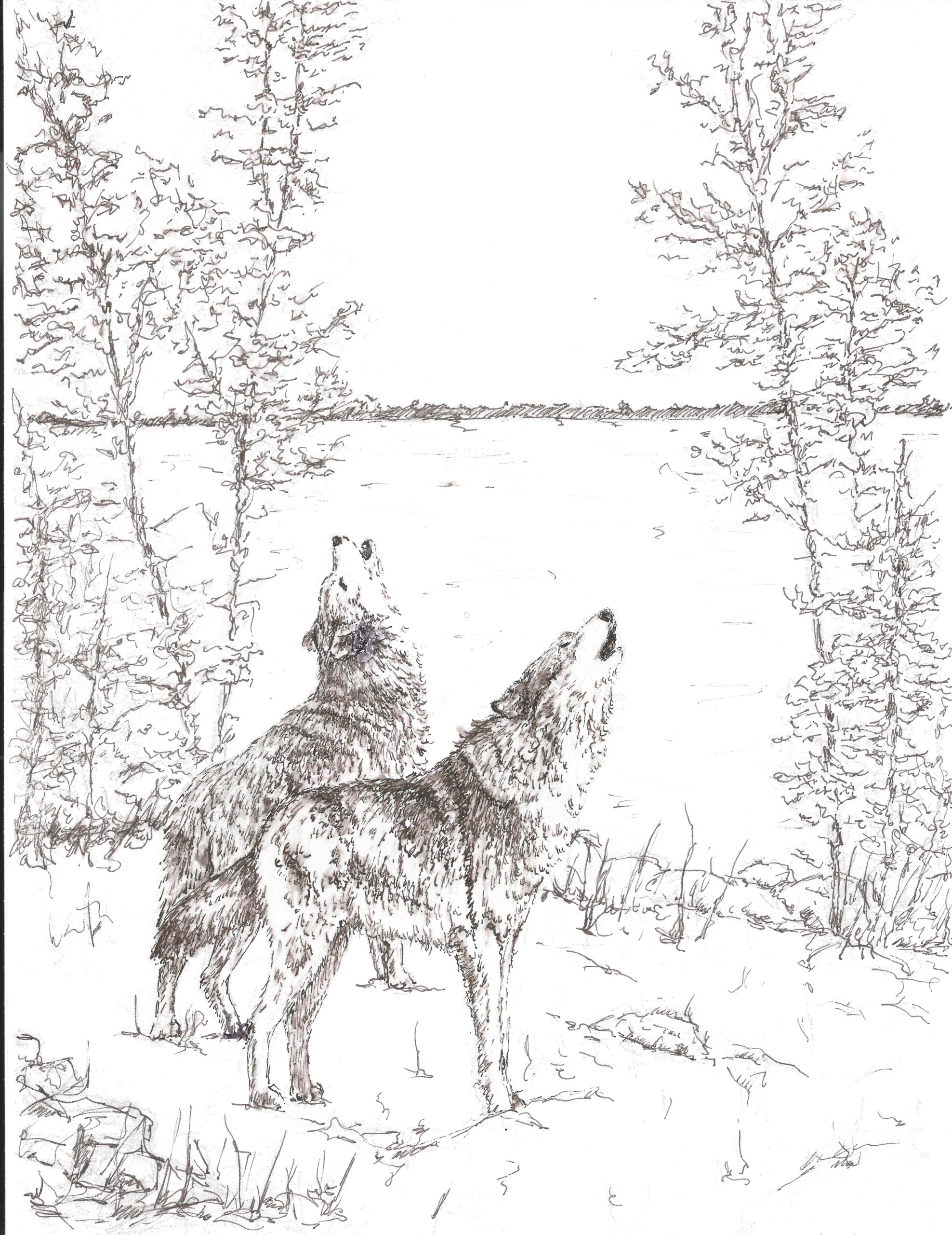 Timber wolves, sketch for wood carving